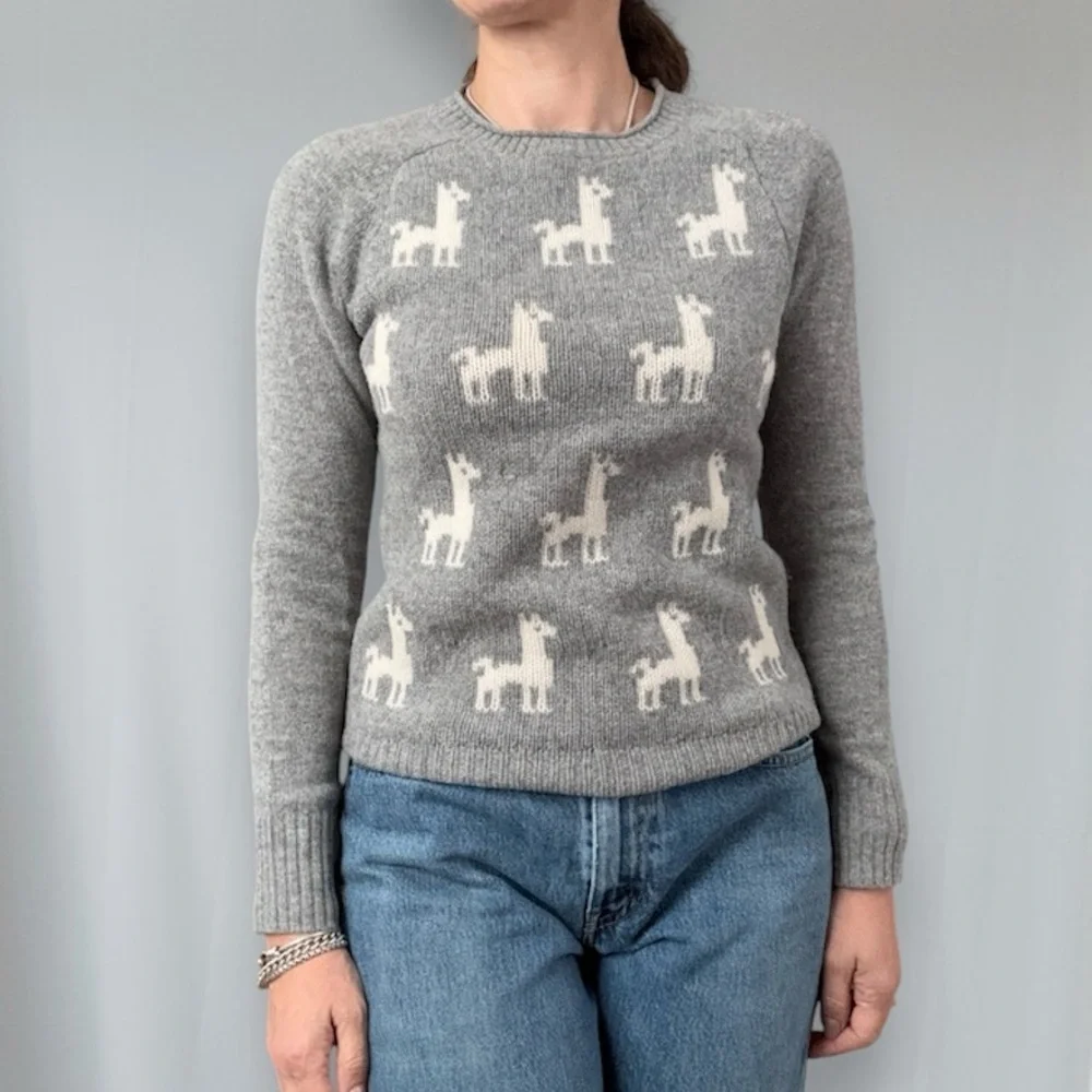 J. Crew Wool LLama Sweater